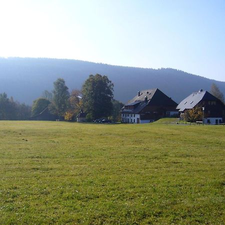 Hermeshof Und Biohaus Titisee-Neustadt Esterno foto
