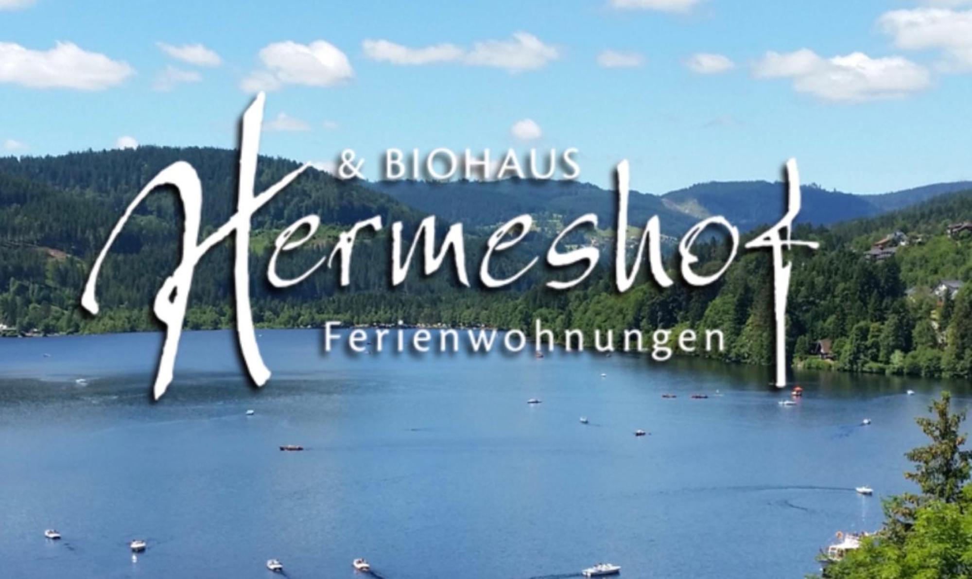 Hermeshof Und Biohaus Titisee-Neustadt Esterno foto