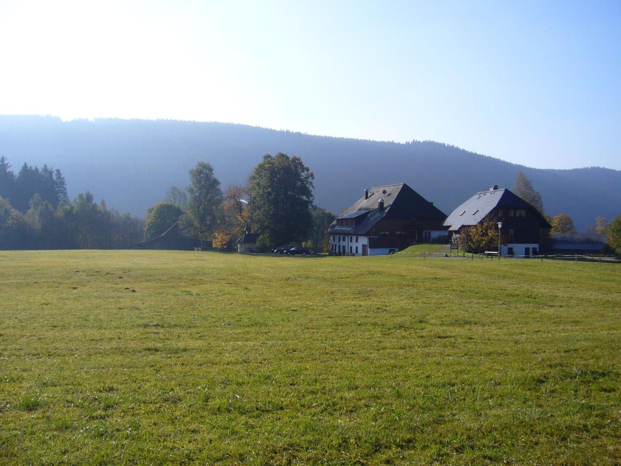 Hermeshof Und Biohaus Titisee-Neustadt Esterno foto