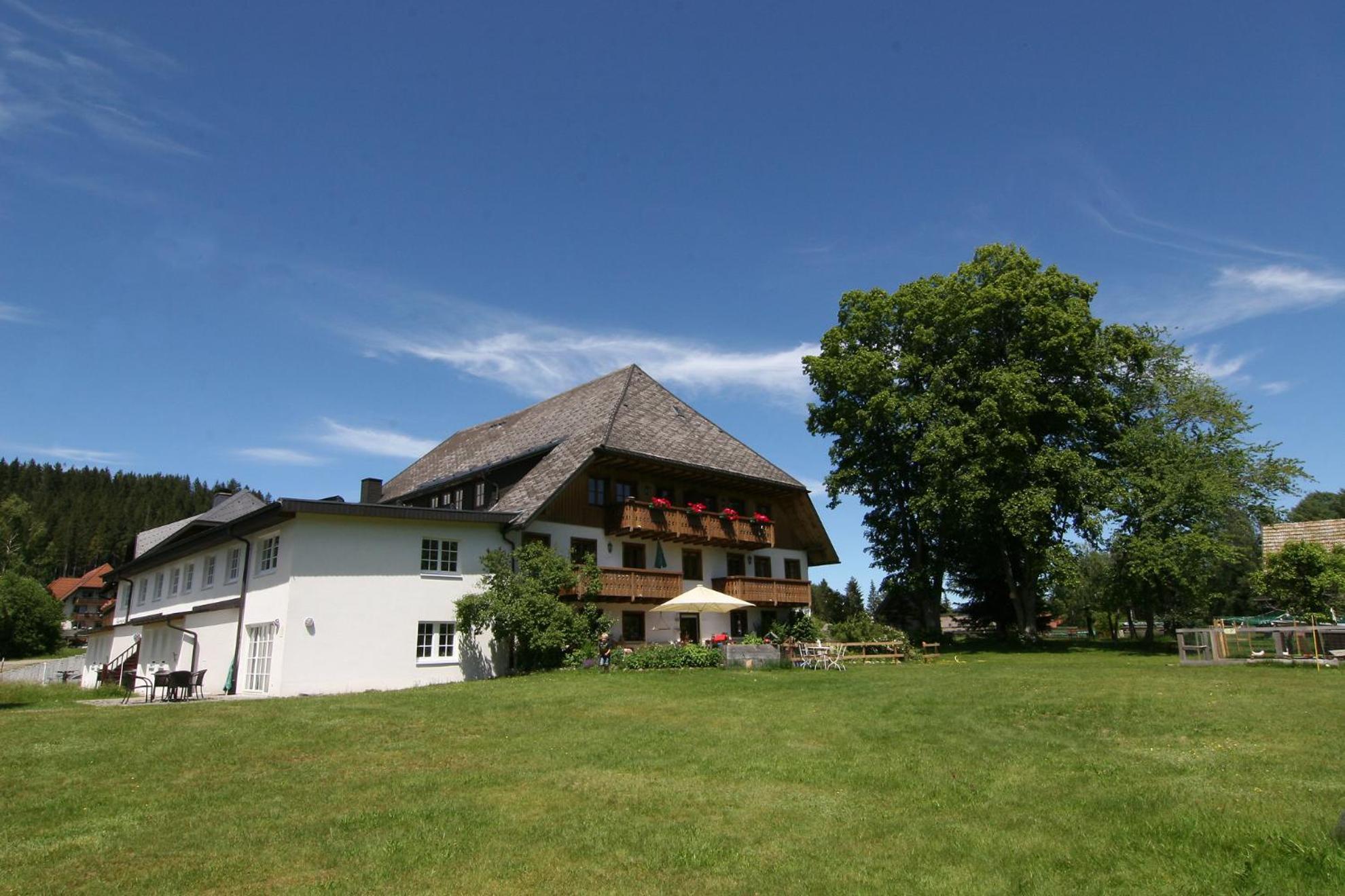 Hermeshof Und Biohaus Titisee-Neustadt Esterno foto